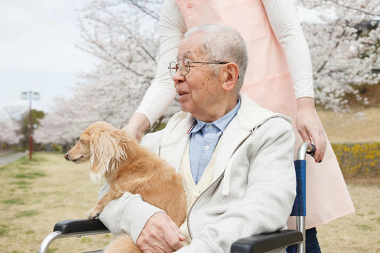 大切な存在だからこそ、シニア期を考える 第一回 獣医師が見てきたシニア期に必要なお世話や介護ポイント