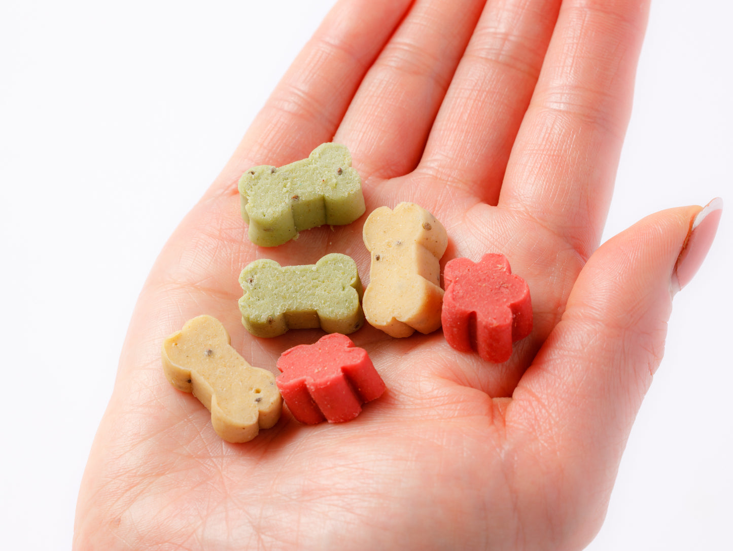 10袋(5種2袋づつ)選べる!関節+症状別補助食 小さなテリーヌ 大豆ベース 送料無料