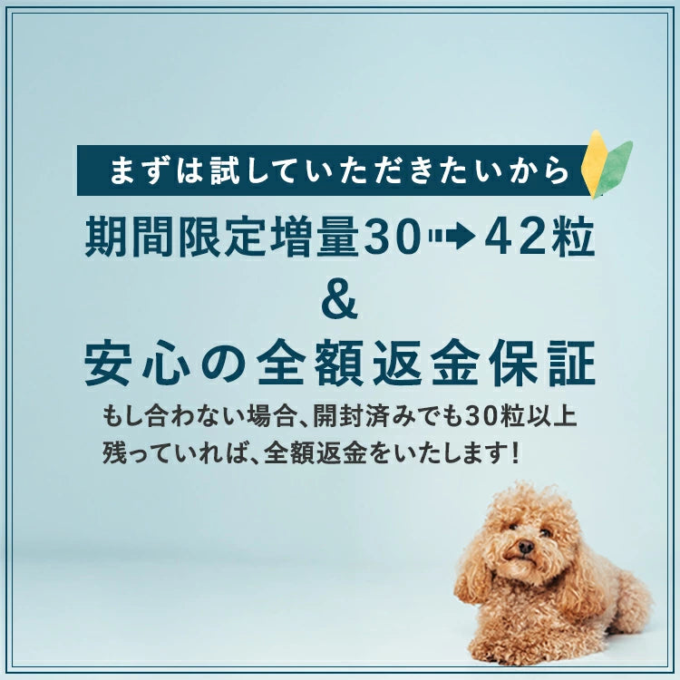 ウゥル HEUREUX ぷりな-ま 生サプリ 犬用 猫用 サプリメント プレミアムフード 無添加 無着色 国産 全犬種 全猫種 全年齢 カプセル 42粒 心臓・腎臓・認知症サポート DHA EPA DPA 涙やけ 返金保証