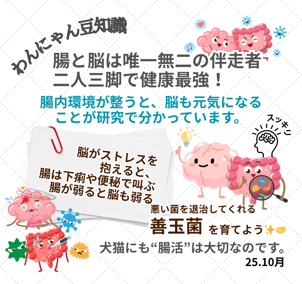【10月31日までの限定】【ペロペロ芋】大袋50本入り×2袋で8500円 送料無料