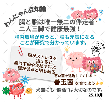 【10月31日までの限定】【ペロペロ芋】大袋50本入り×2袋で8500円 送料無料