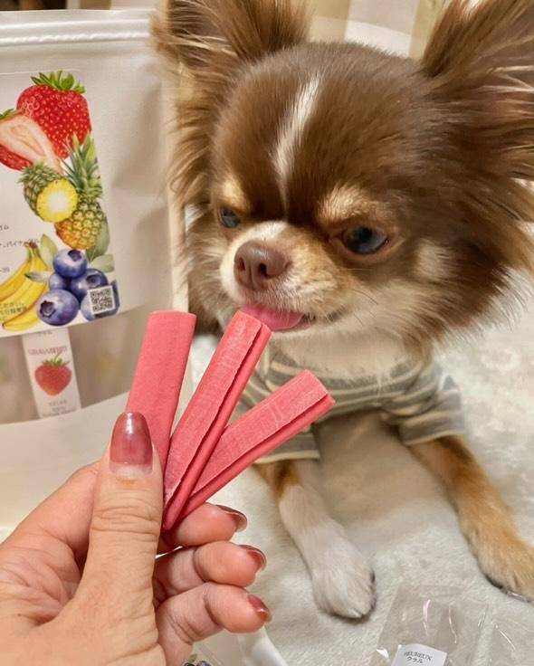 【健康ケアスティック】デンタルケア＆関節強化サポート キャベツ大豆ベース 150g 犬 猫 用 着色料無添加