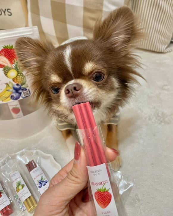【健康ケアスティック】デンタルケア＆関節強化サポート キャベツ大豆ベース 150g 犬 猫 用 着色料無添加
