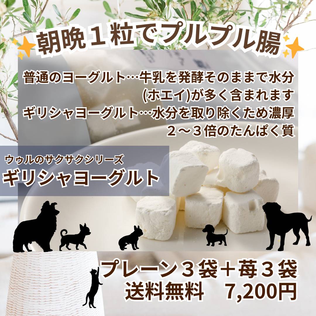 【10月31日までの限定】【ウゥルのサクサクシリーズ】【フリーズドライ　ギリシャヨーグルト 】プレーン3袋+苺3袋で7200円！送料無料！