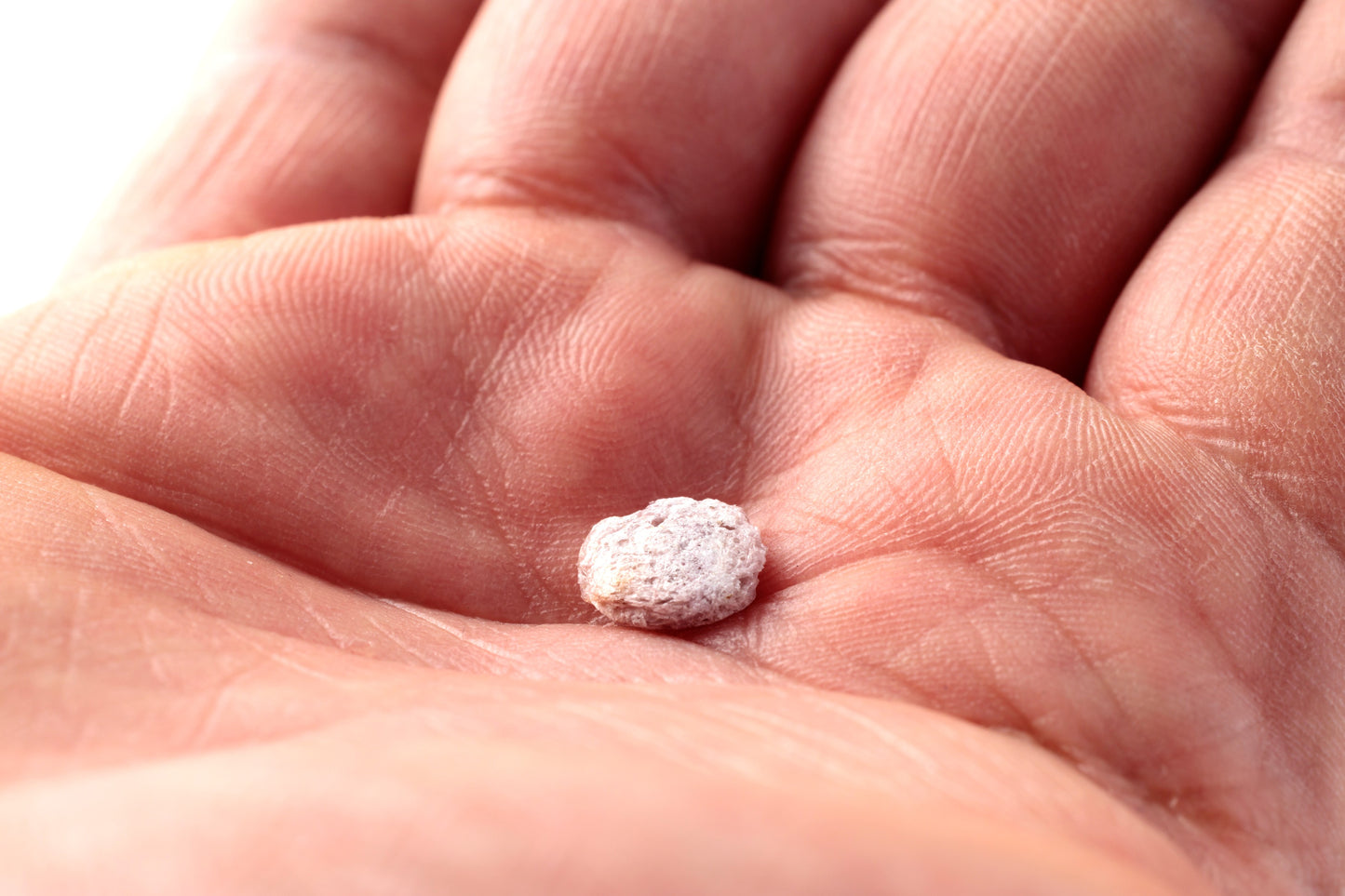 【フリーズドライ】【腸内フローラを整えダイエット】高消化性サクサク雑穀米50g 犬猫用