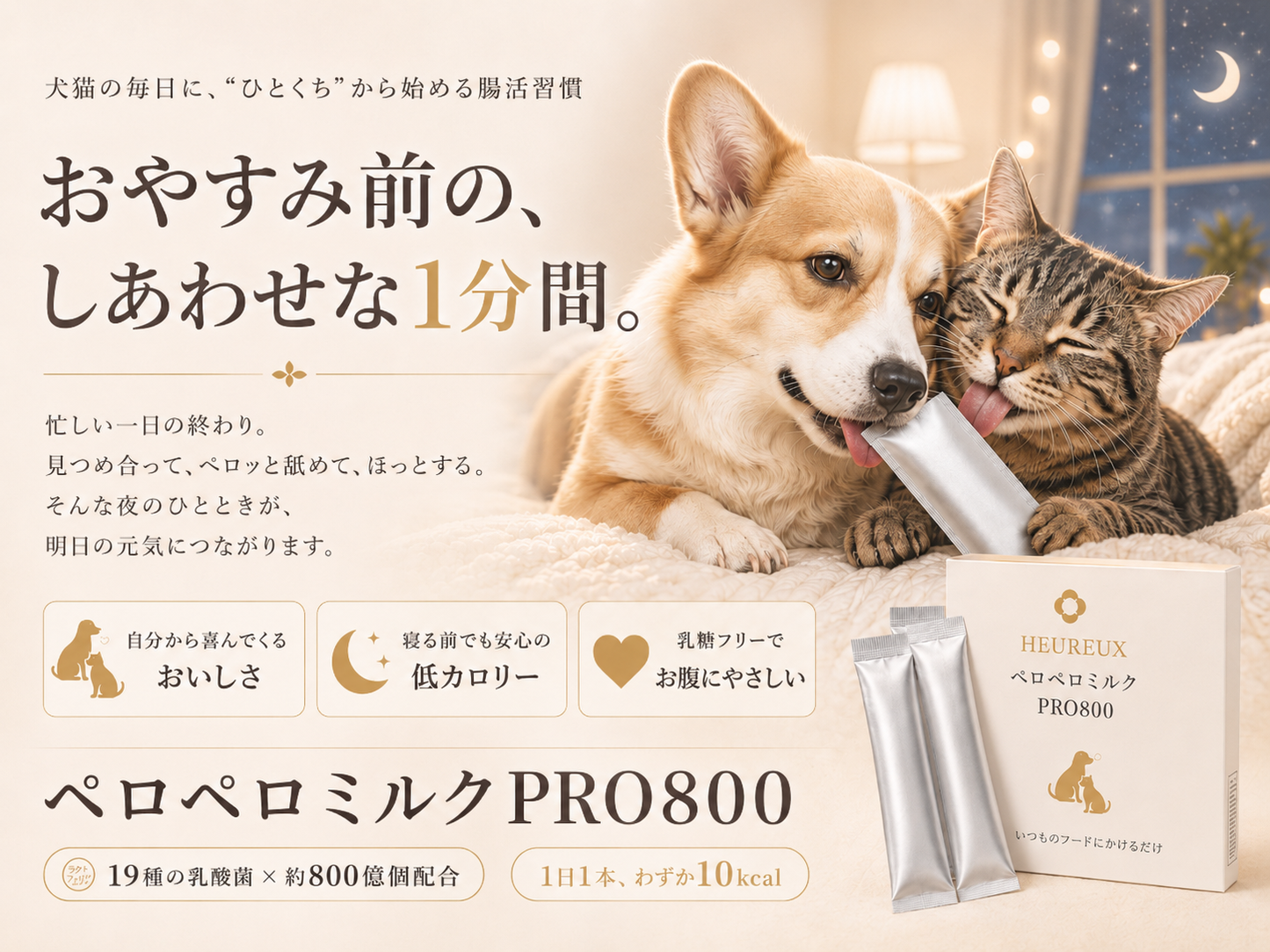 【定期購入】【30本入り1袋】【乳酸菌ミルク】犬猫 800億乳酸菌 腸活サポート ペロペロミルクPRO800｜HEUREUX