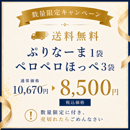 【送料無料】お詫びキャンペーン