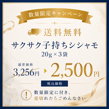 【送料無料】お詫びキャンペーン