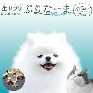 【ぷりなーま】
