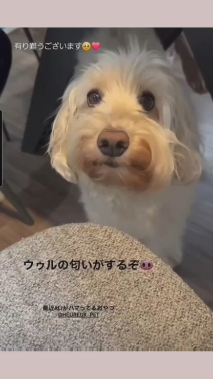【小さなテリーヌ】【白内障予防】ブルーベリー 関節炎予防＋活性酸素除去サポート 小さなテリーヌ40g 大豆ベース 一日一粒 トッピング